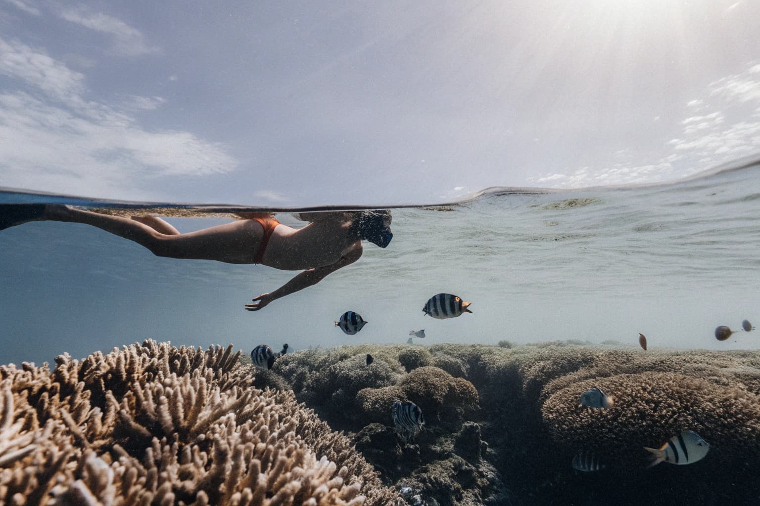 Guests snorkeling over coral reef with guide