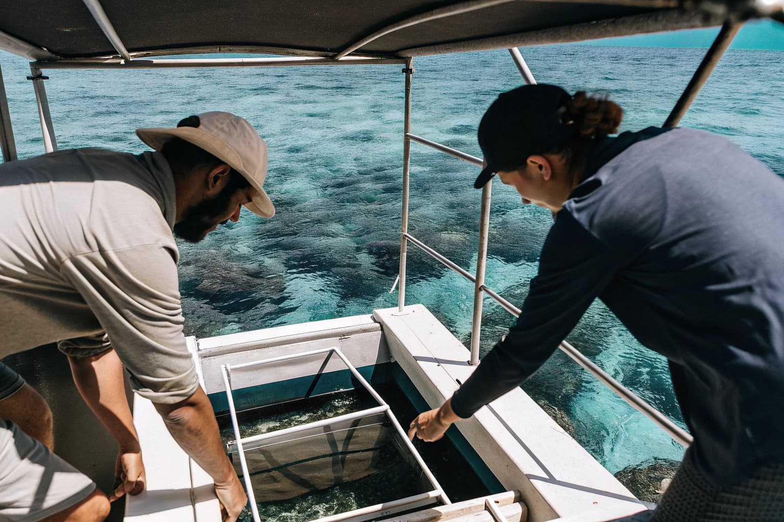 Researchers tending coral larval pool