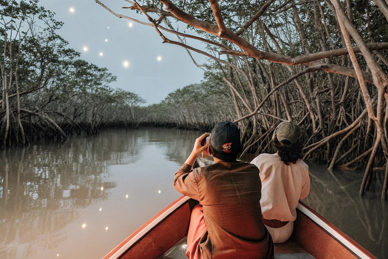 Boat gliding through mangrove with fireflies